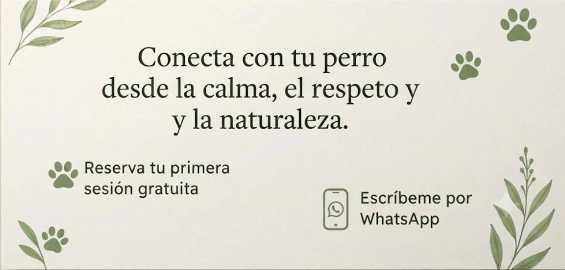 Tarjeta de visita de La Pasarela Canina, reverso